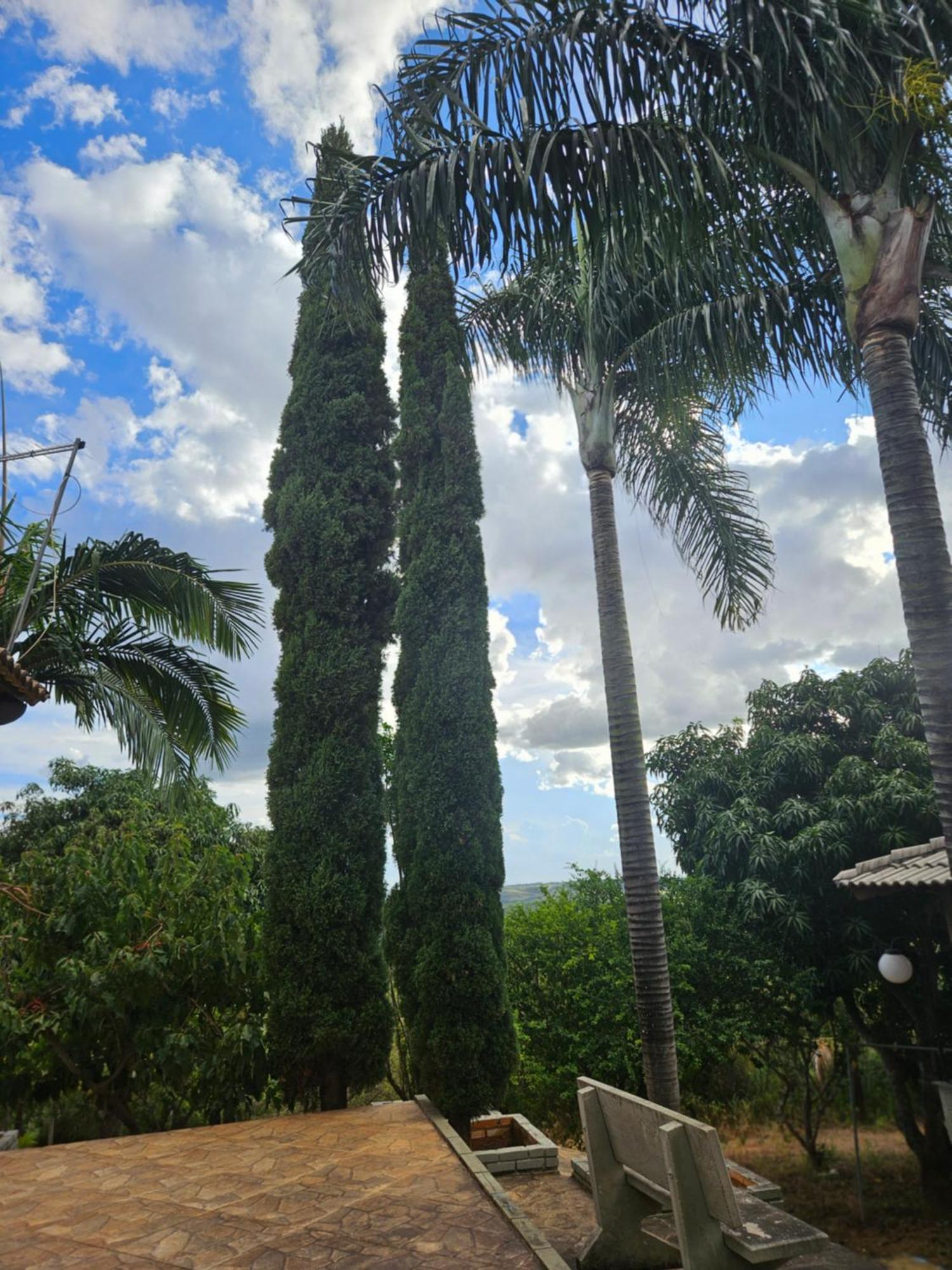 Chacara Vive La Vie Ponte Alta Hotel Gama  Bagian luar foto