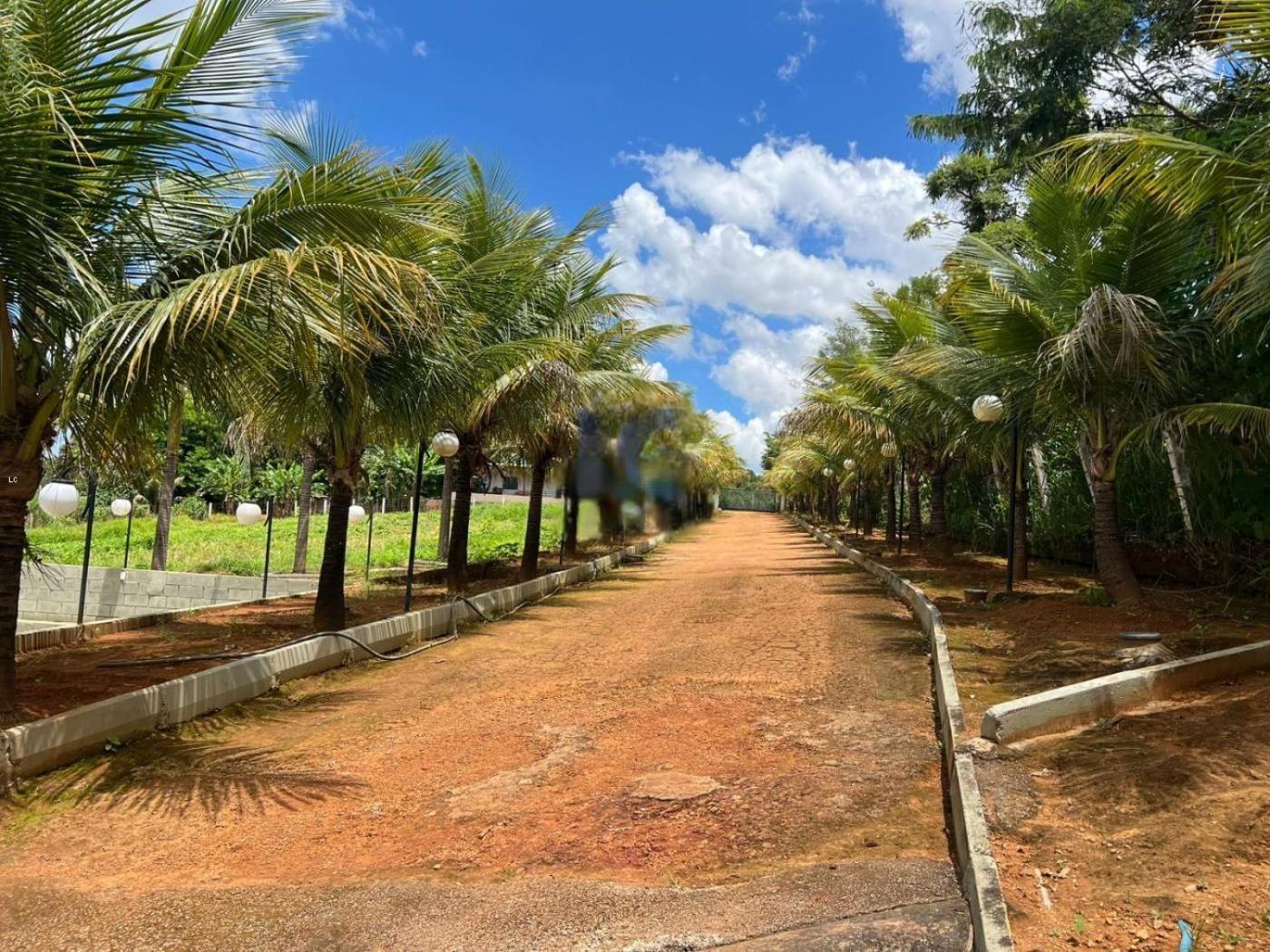Chacara Vive La Vie Ponte Alta Hotel Gama  Bagian luar foto